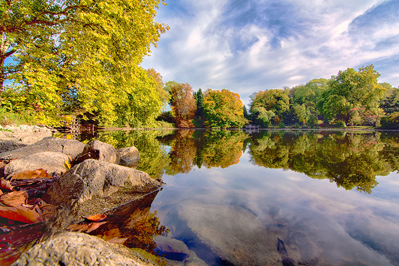 Rombergpark im Herbst