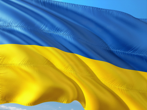 Flagge Ukrainische Flagge